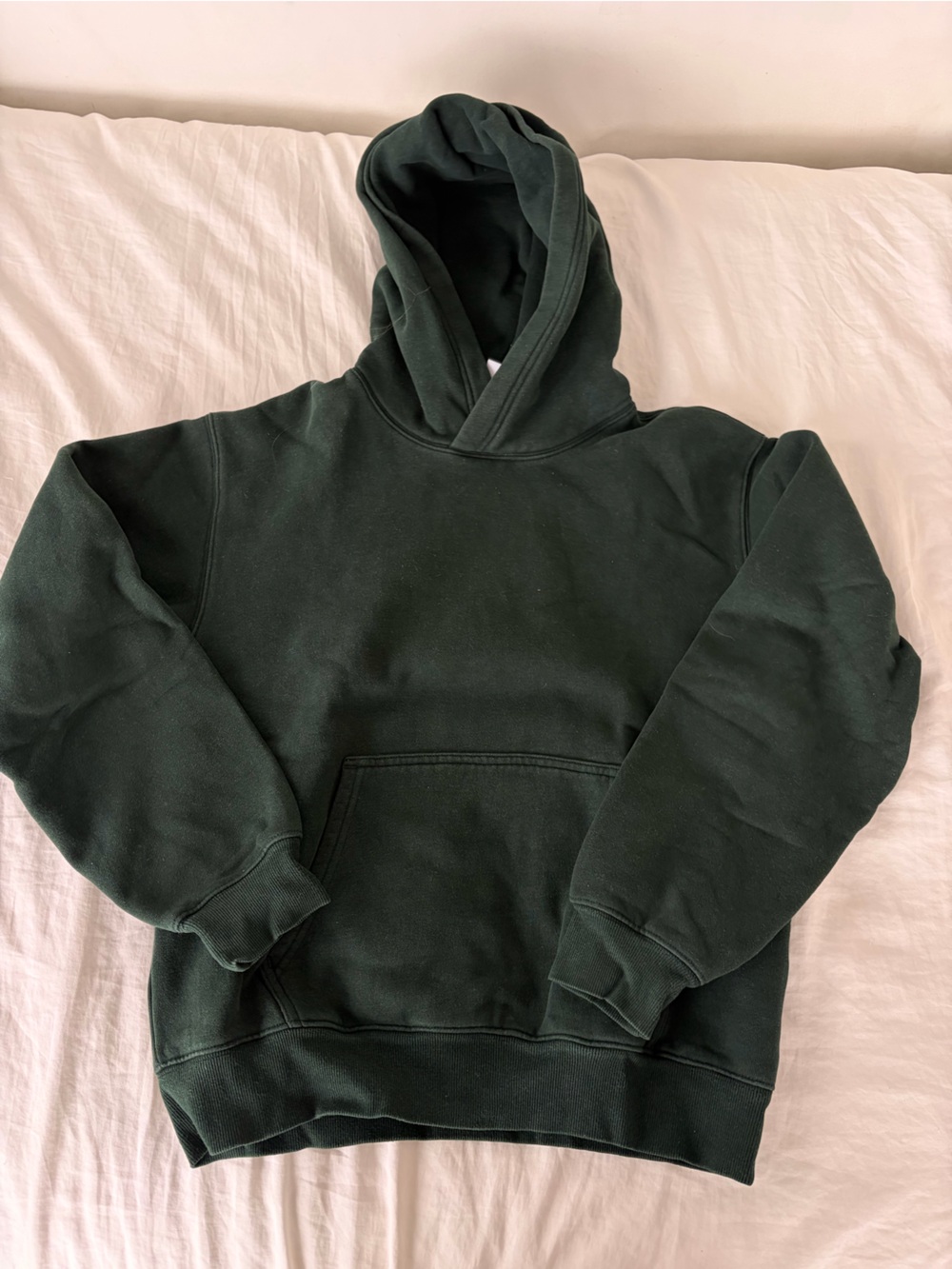 women’s aritzia green hoodie sweat fleece perfect fit